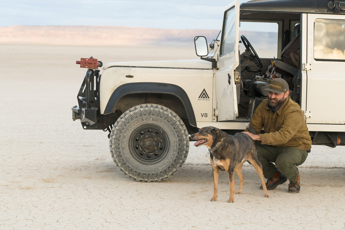 Camping With Dogs: 3 Overland Insiders Share Tested Best Practices