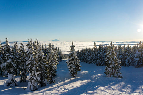 Stocking Stuffers and Gift Ideas