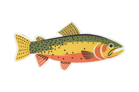 23 Pack of Native Trout Stickers