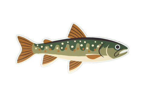 4 Pack of Trout Stickers