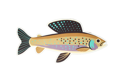 8 Pack of Trout Stickers
