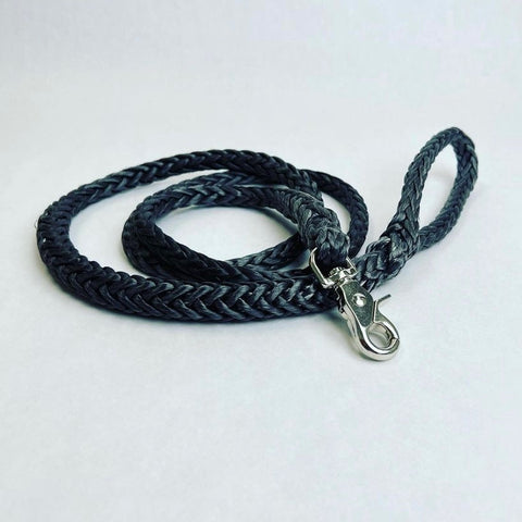 5 Ft Dog Winch Leash