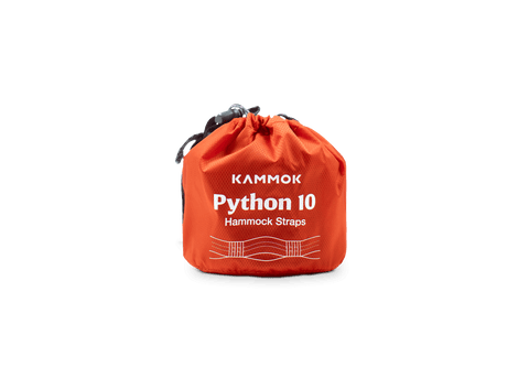 Python 10
