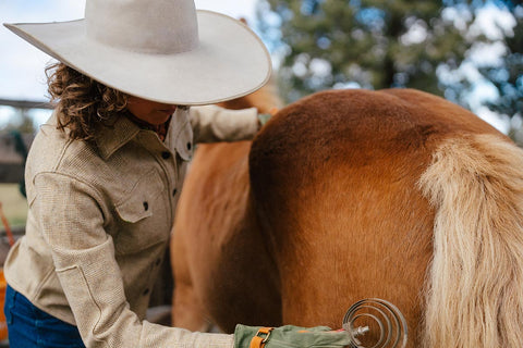 Women's Superior Wool Shirt