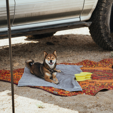 Casbah Camp Rug - Turkish